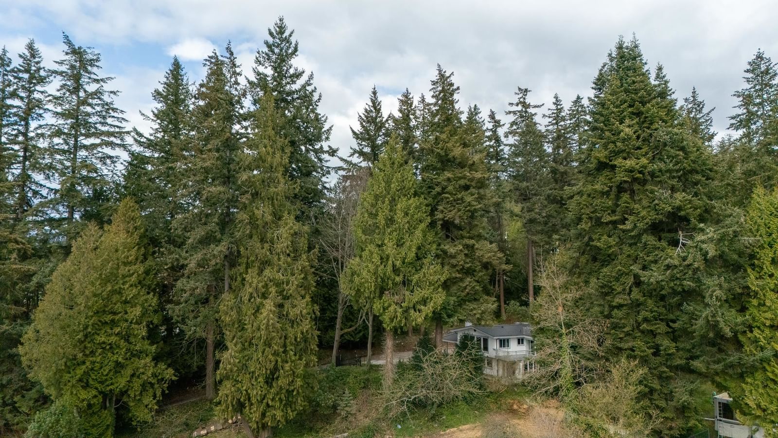 Listing Image 38