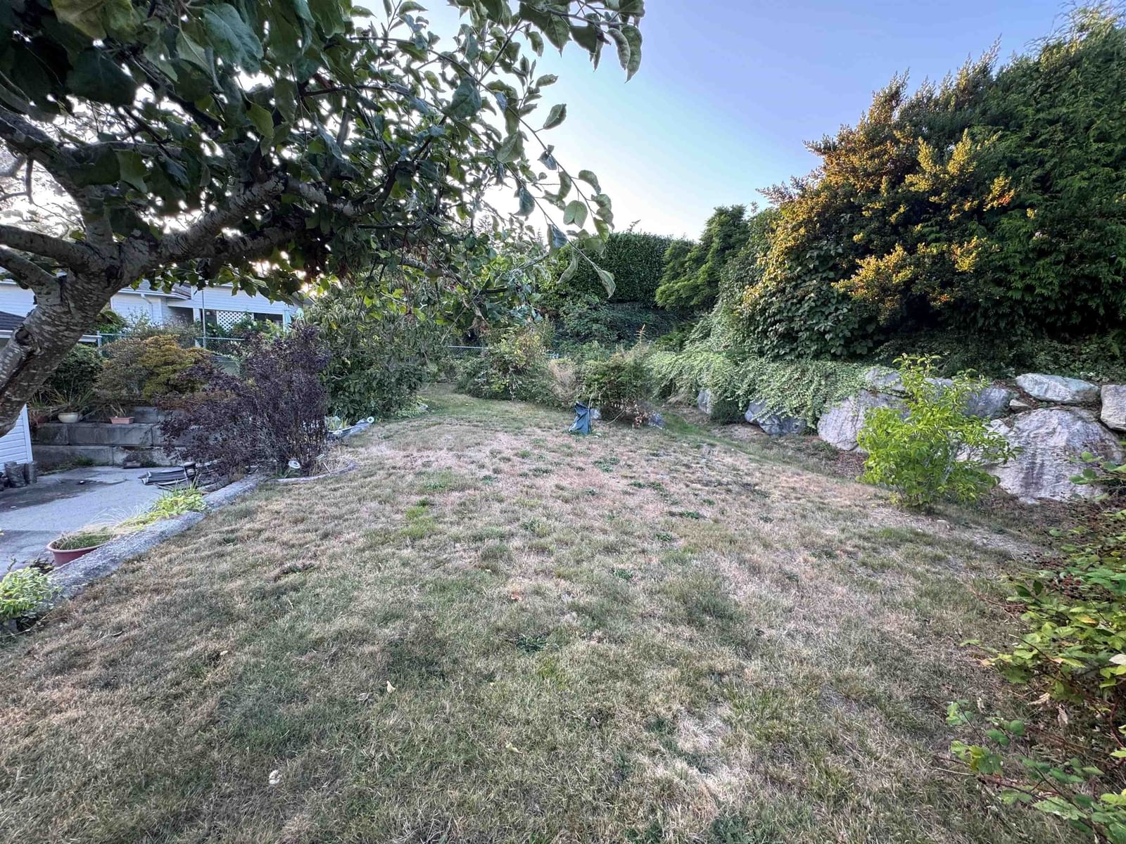 Listing Image 29