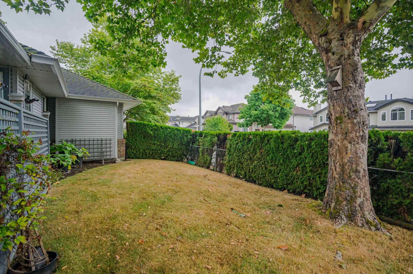 Listing Image 31