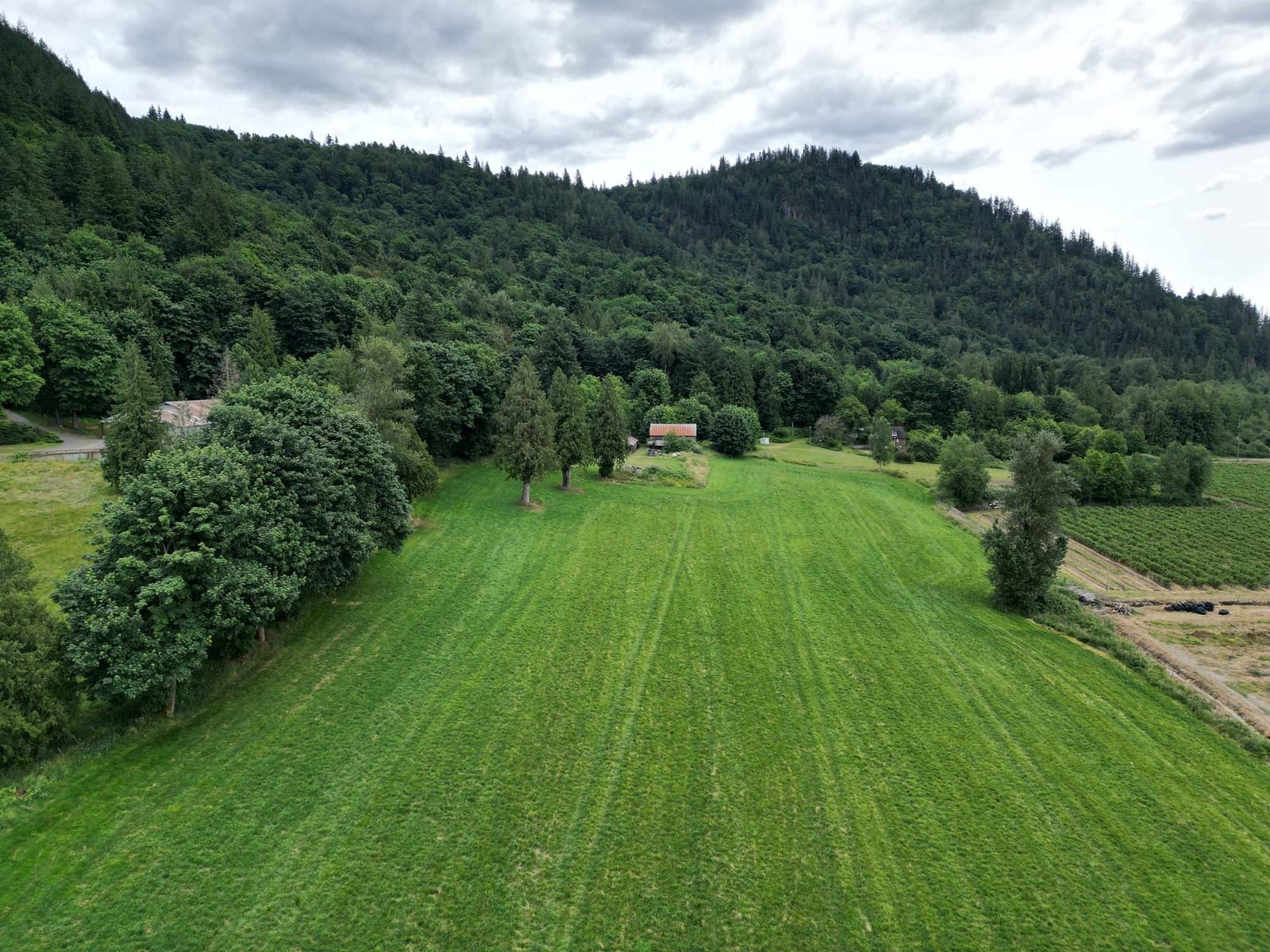 Listing Image 13