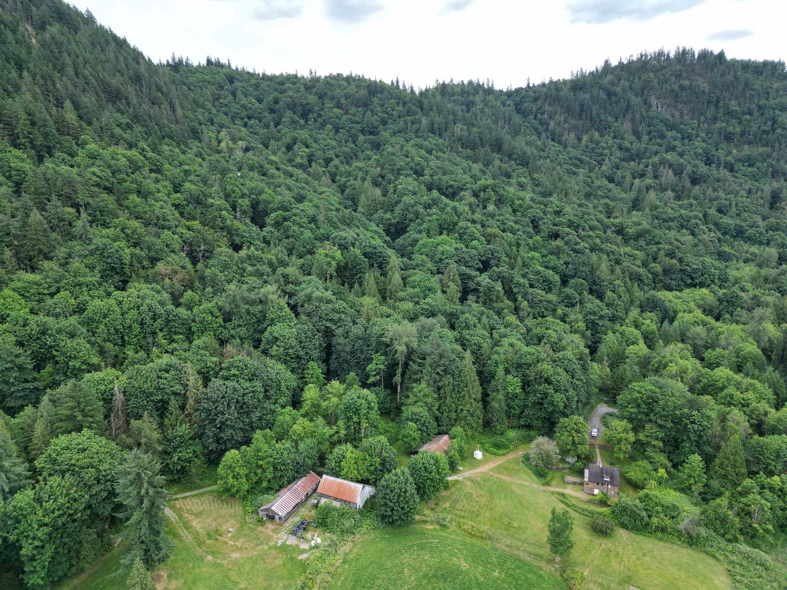 Listing Image 24