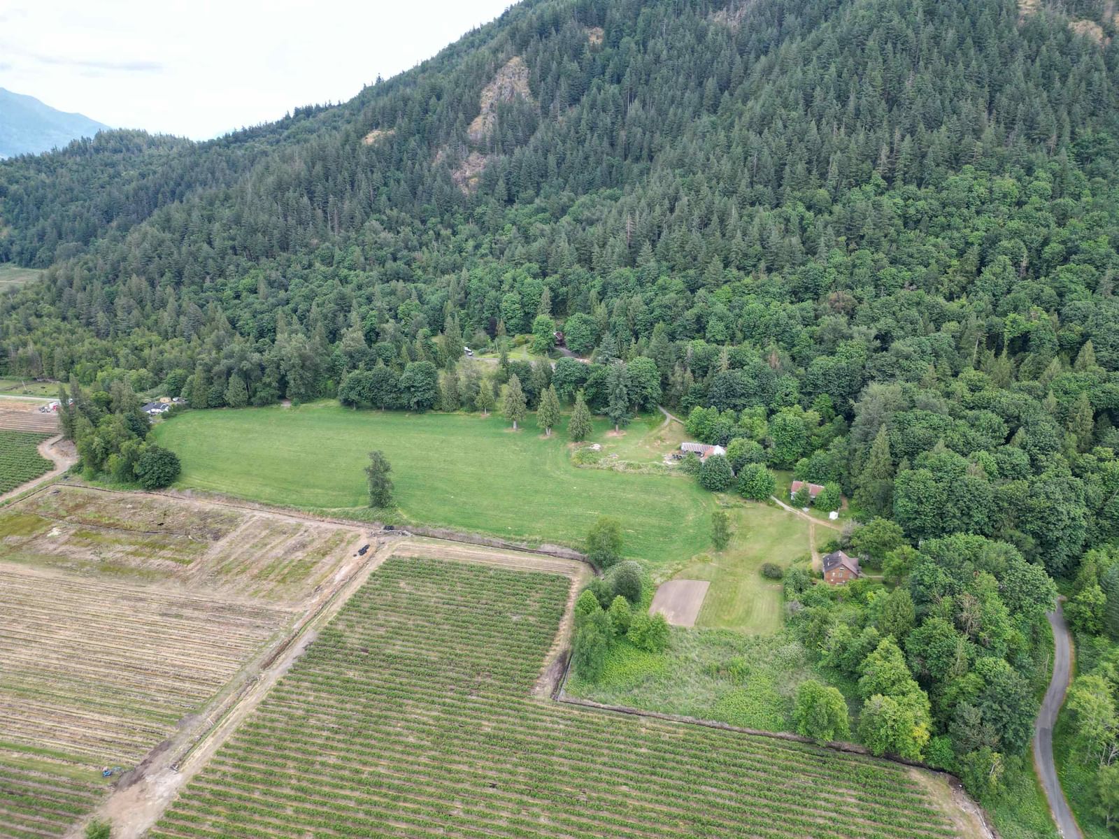 Listing Image 30