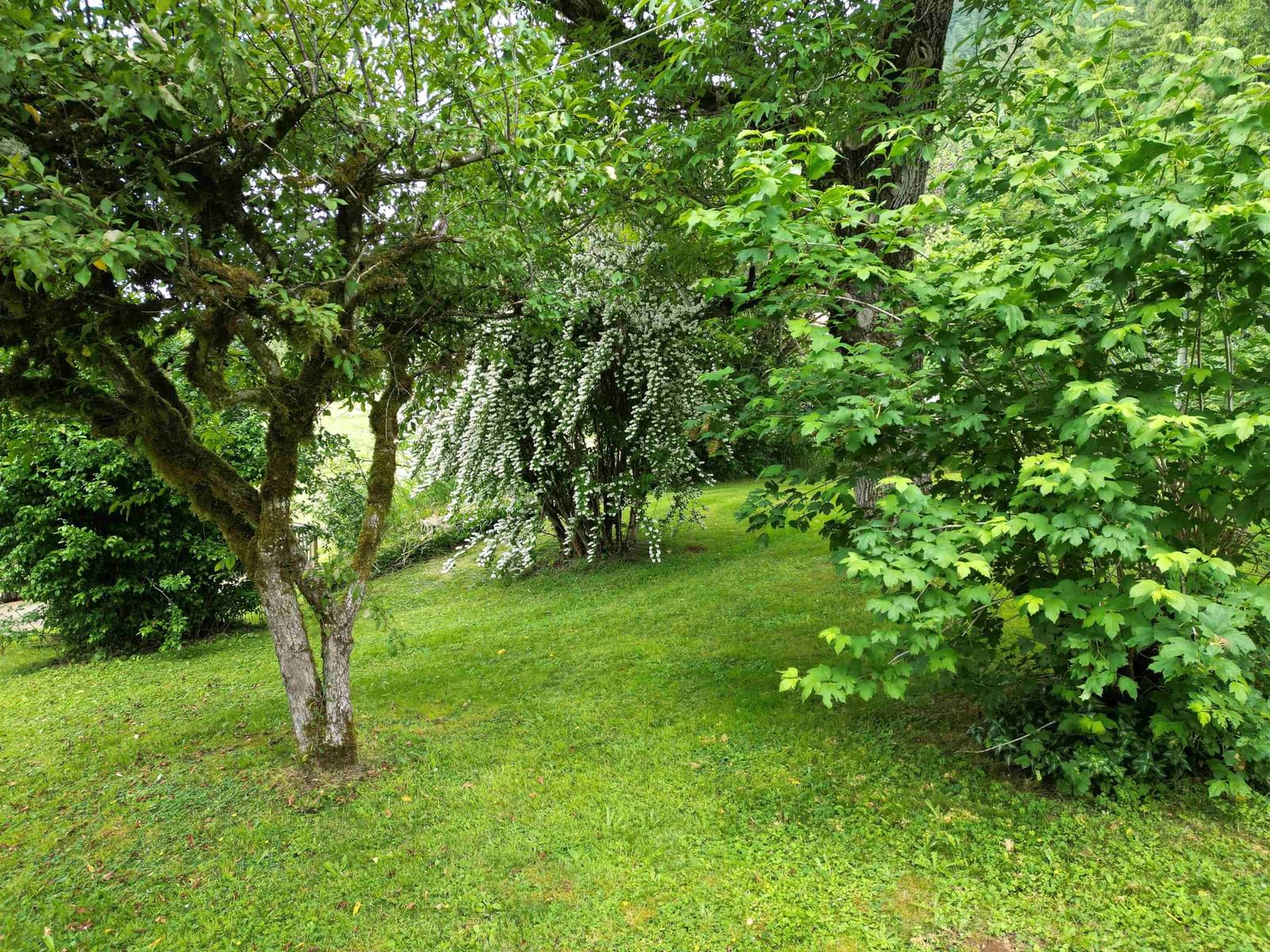 Listing Image 31