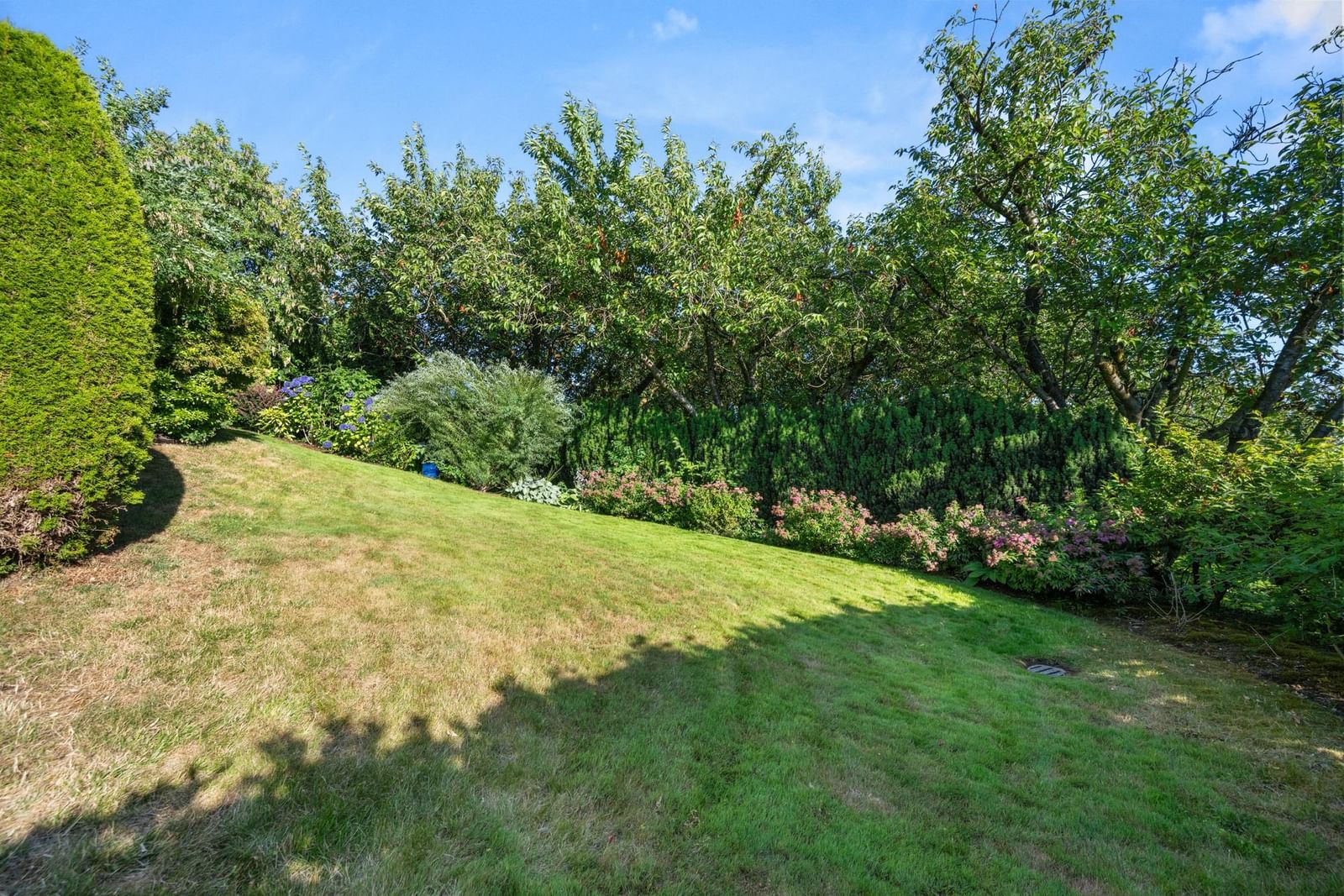 Listing Image 34