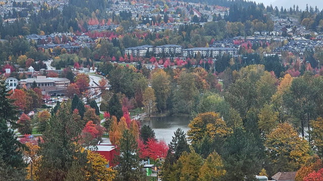 2001 - 1182 Westwood Street