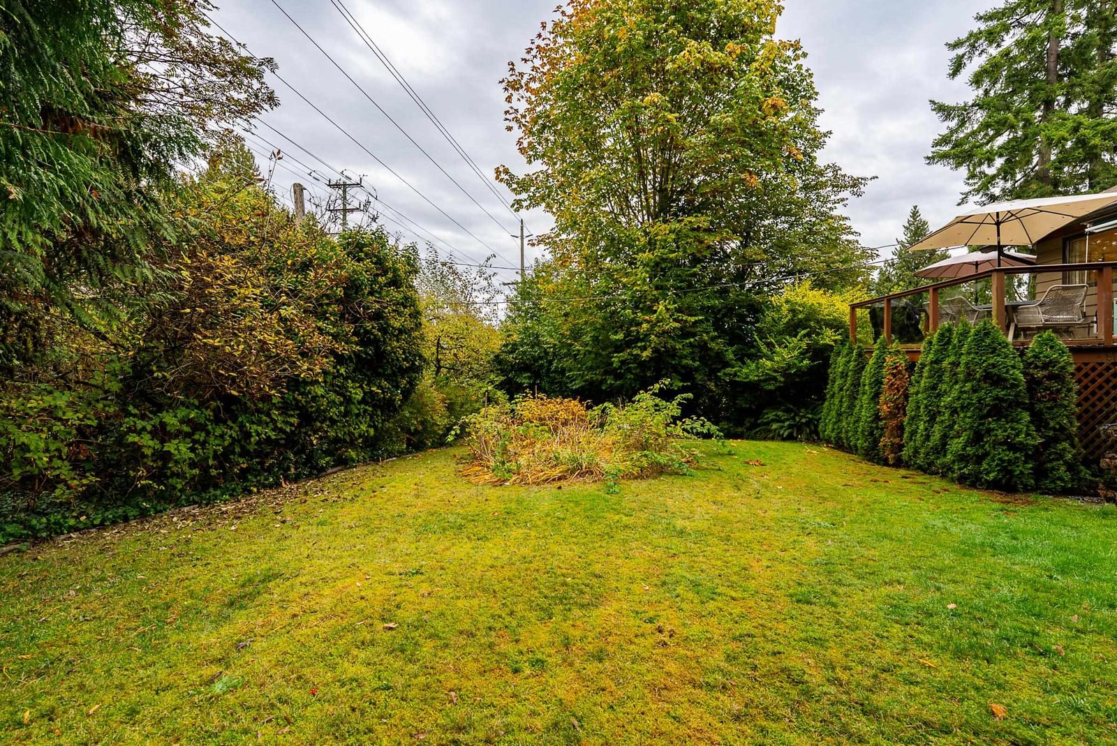Listing Image 39