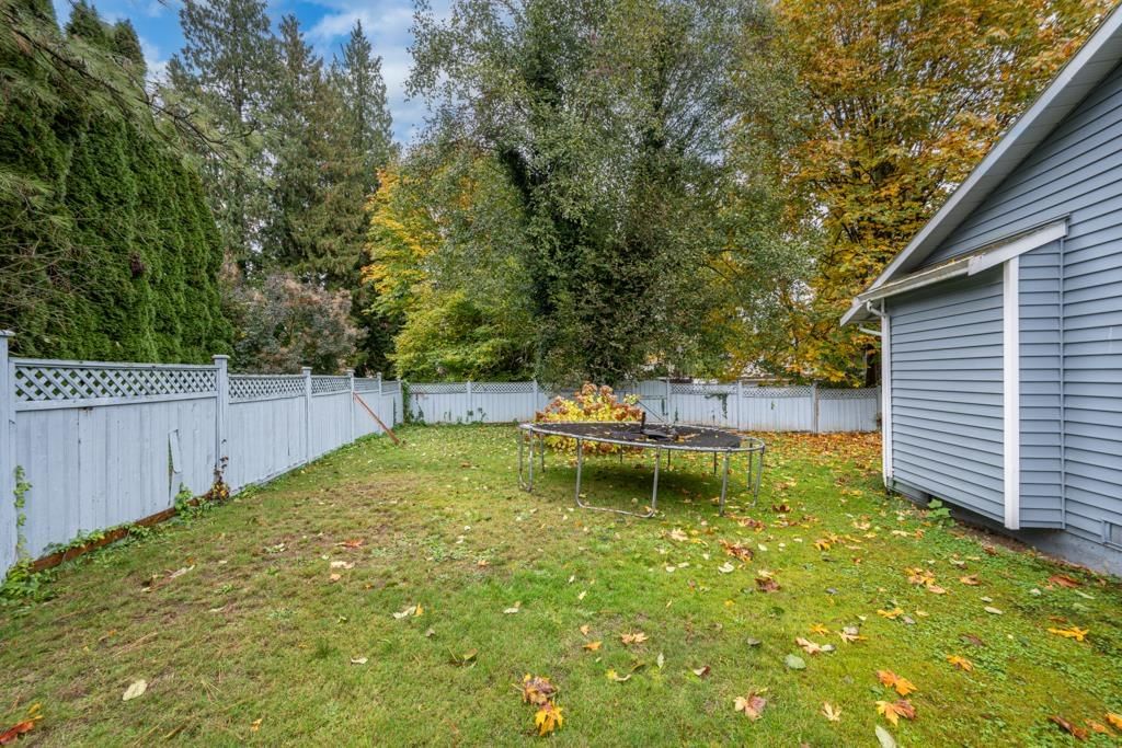 Listing Image 29