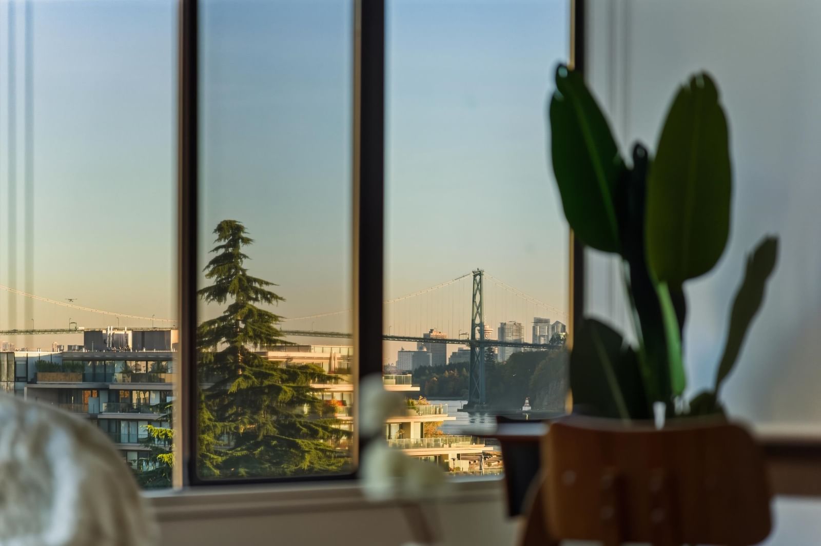 Listing Image 24