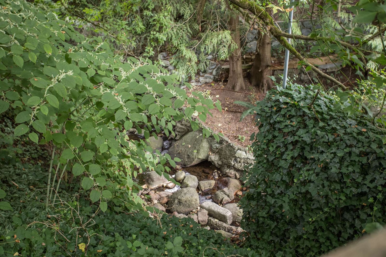 Listing Image 38