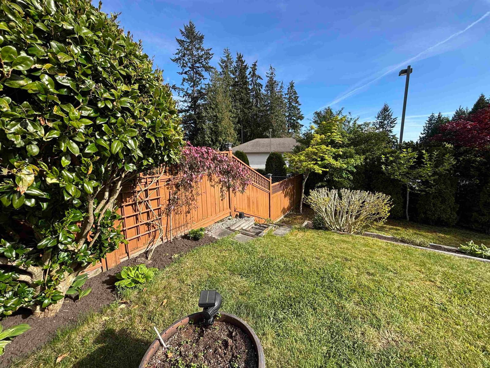 Listing Image 11