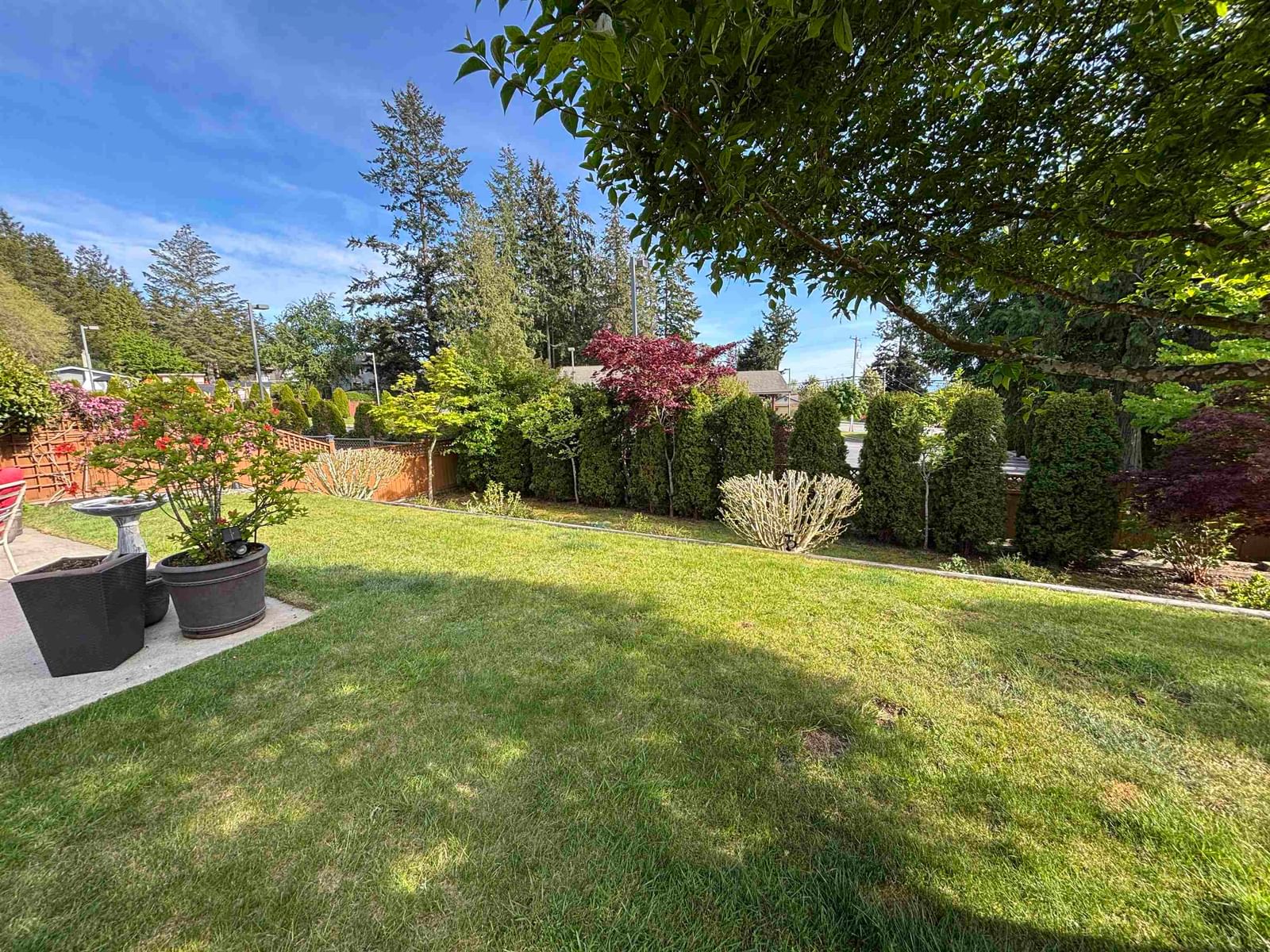 Listing Image 9