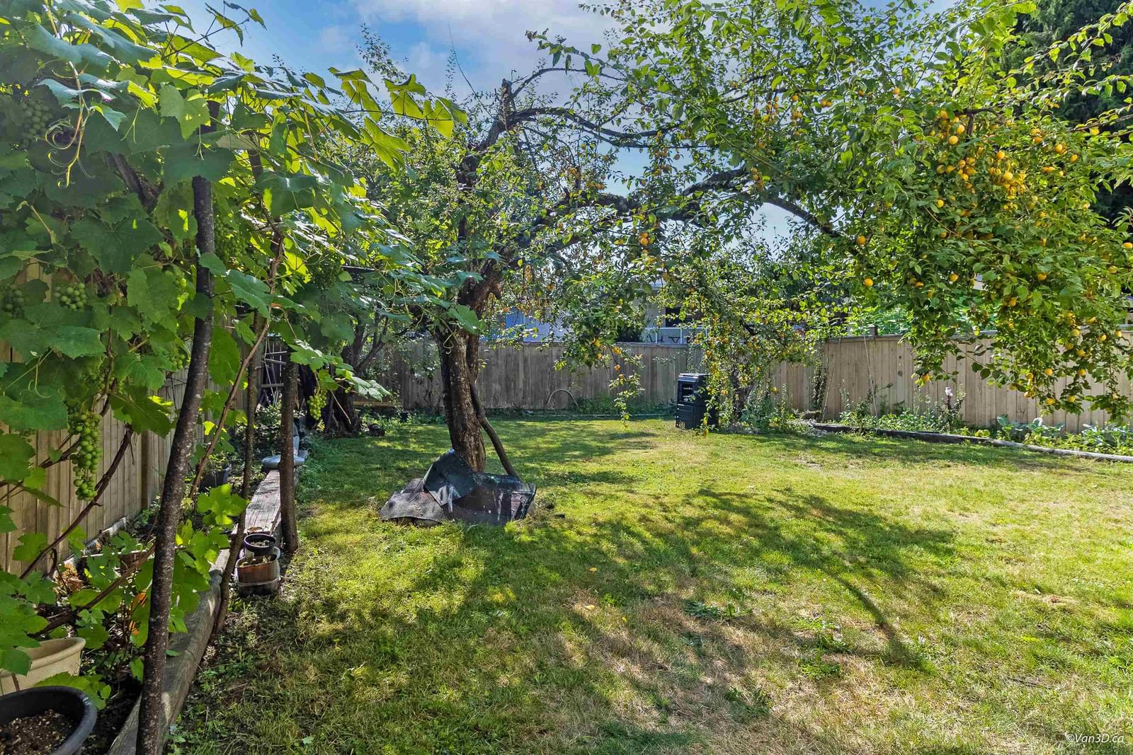 Listing Image 28