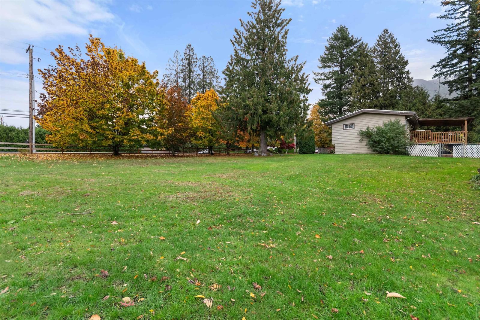 Listing Image 39
