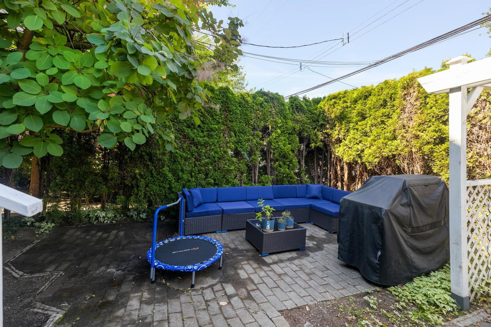 Listing Image 19