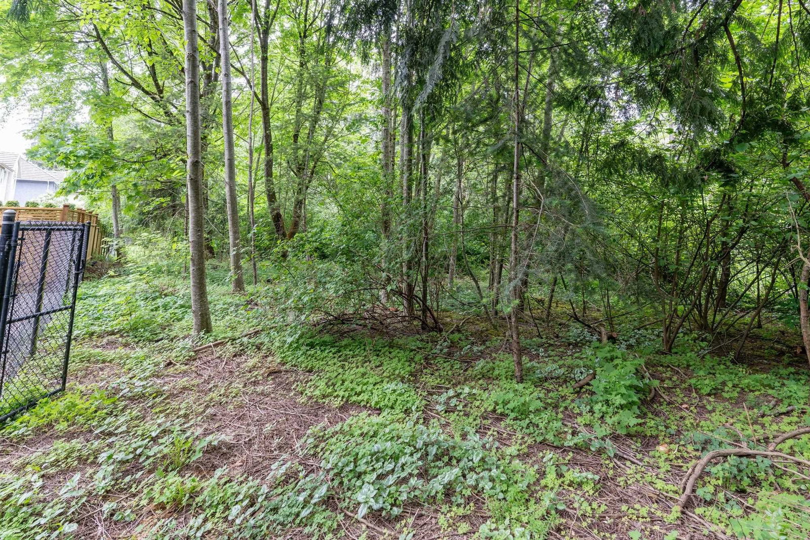 Listing Image 39