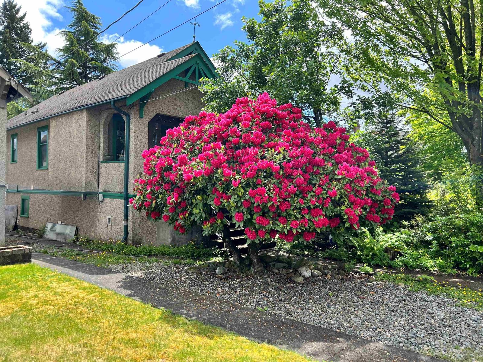 Listing Image 18