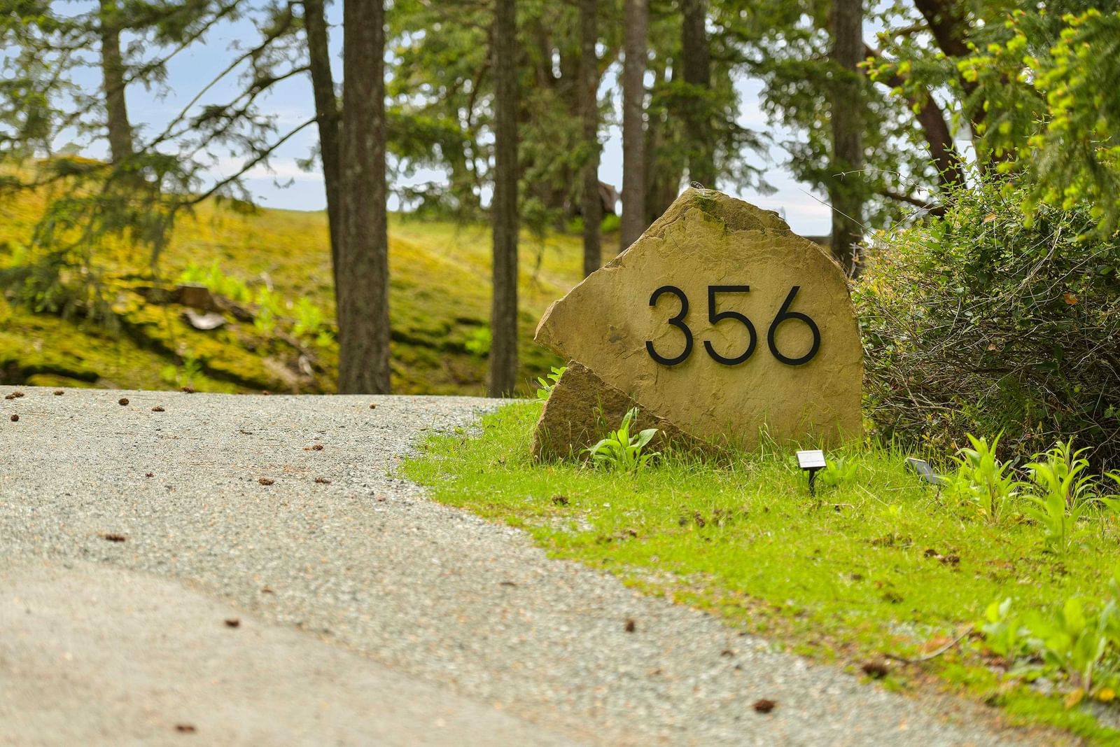 Listing Image 38