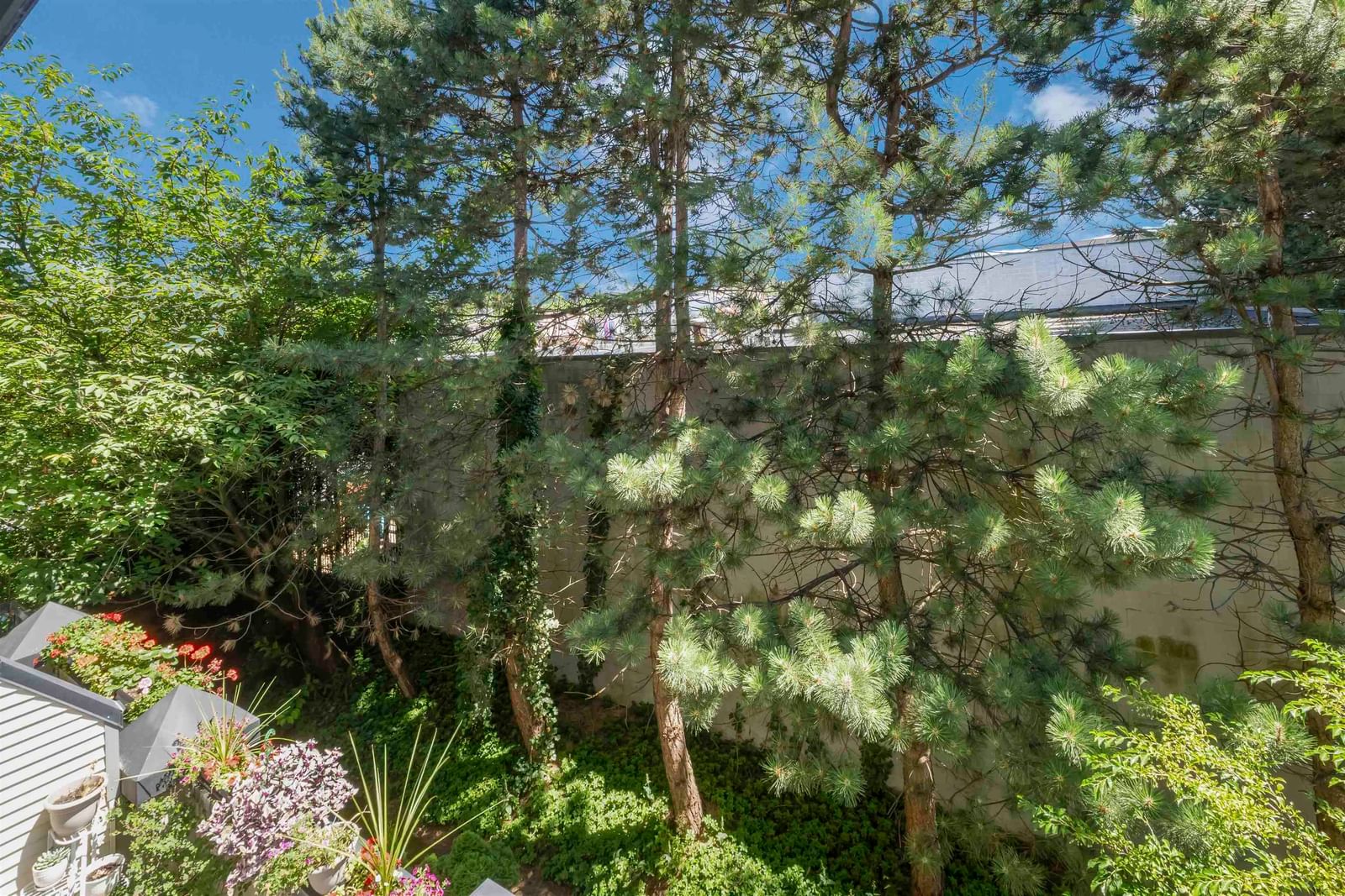 Listing Image 29