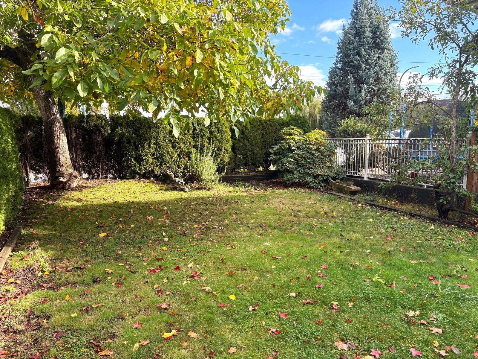 Listing Image 25