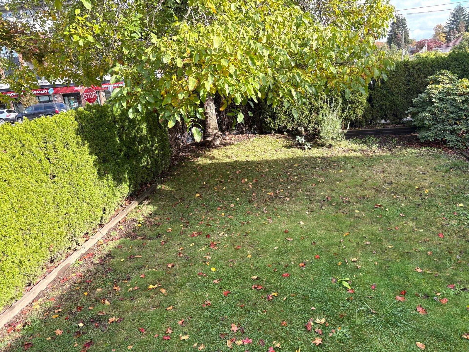 Listing Image 26