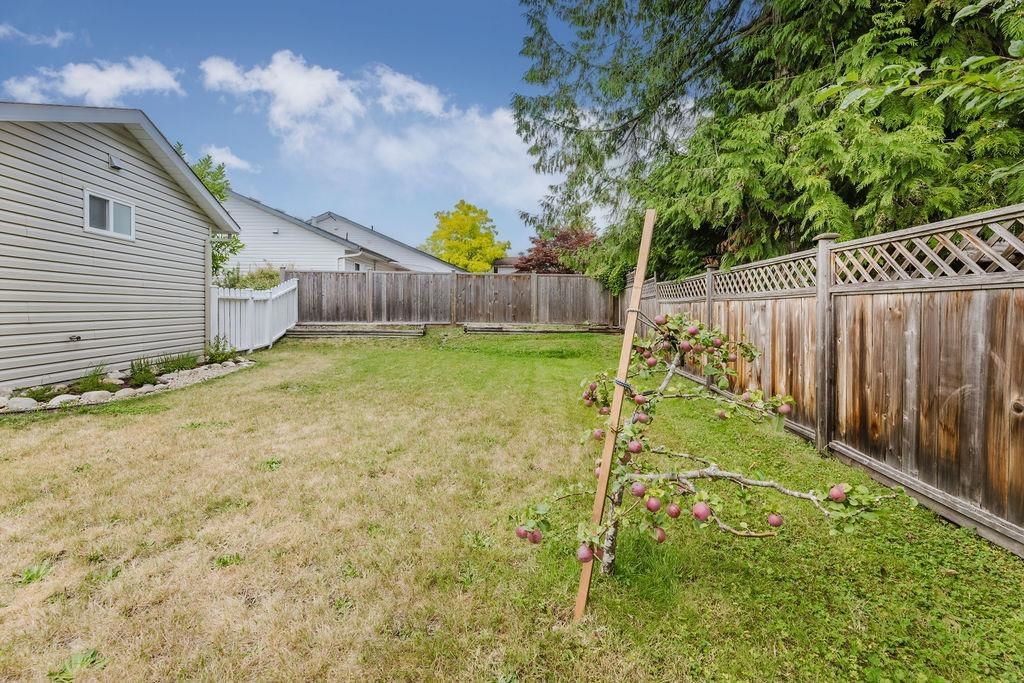 Listing Image 25