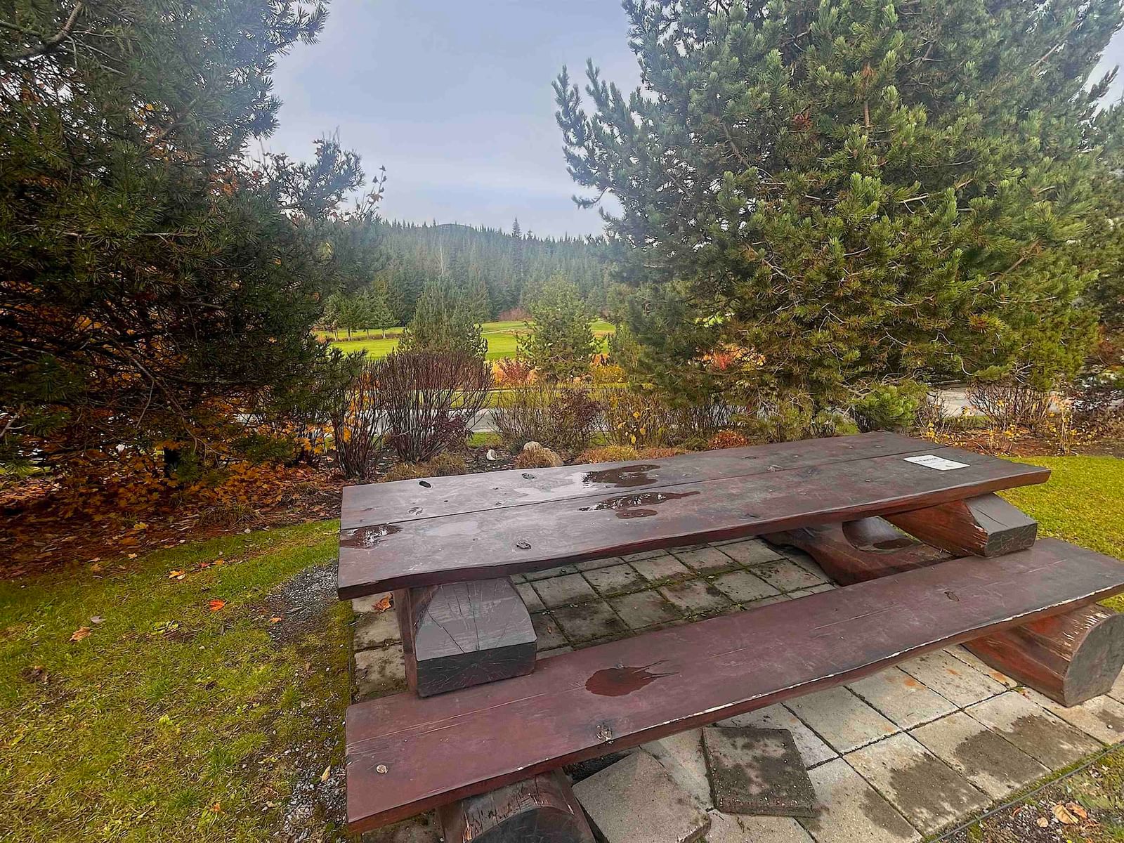 Listing Image 30