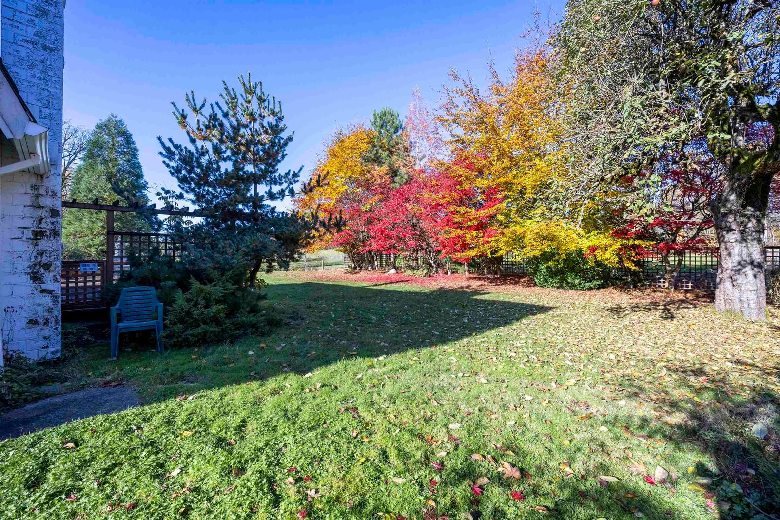 Listing Image 31