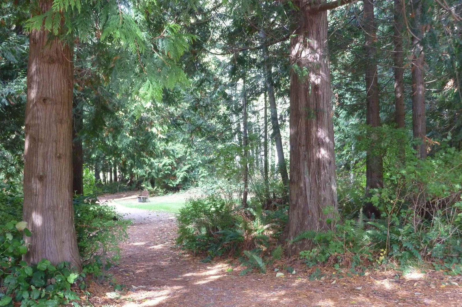 Listing Image 37