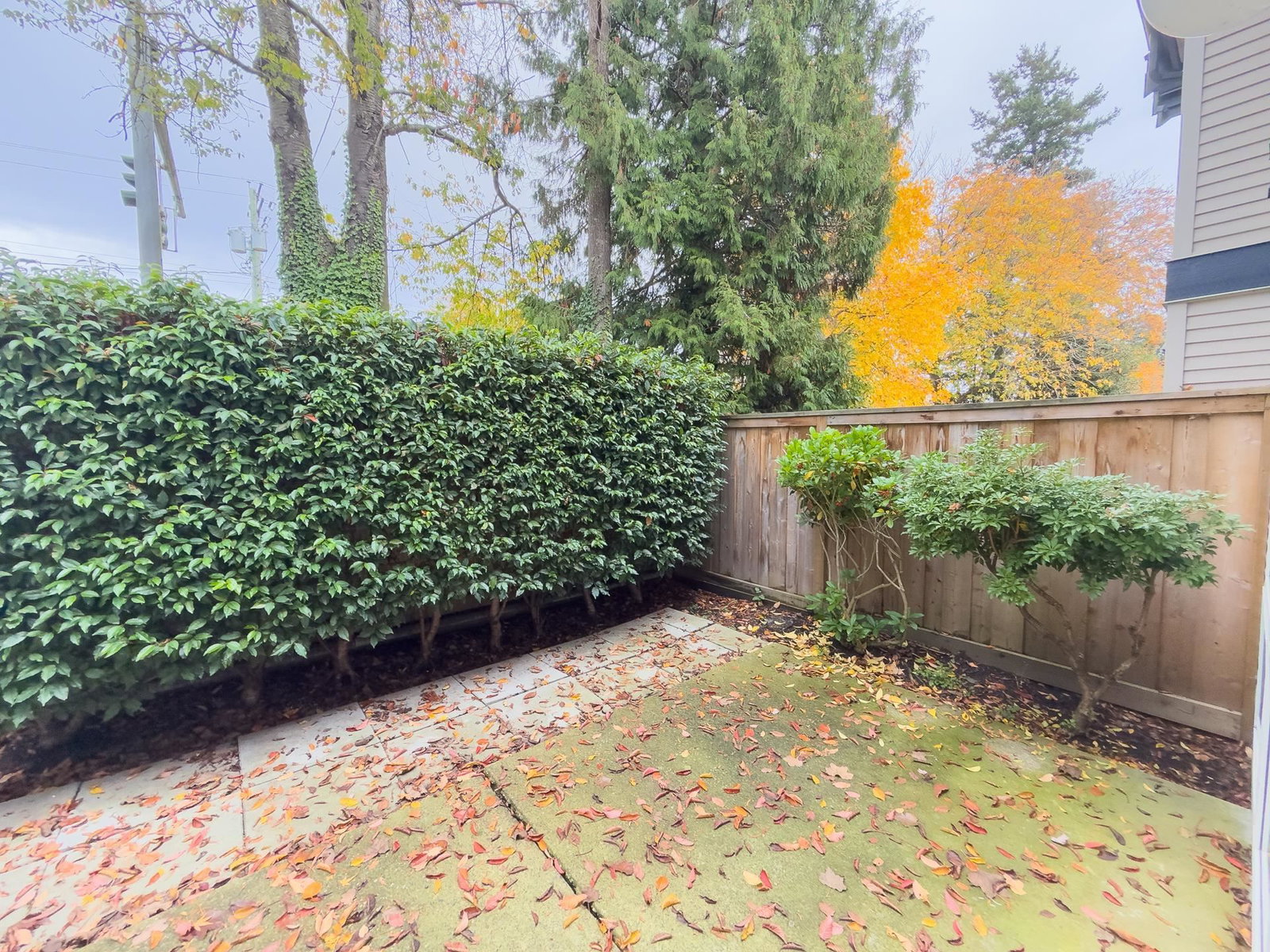 Listing Image 34