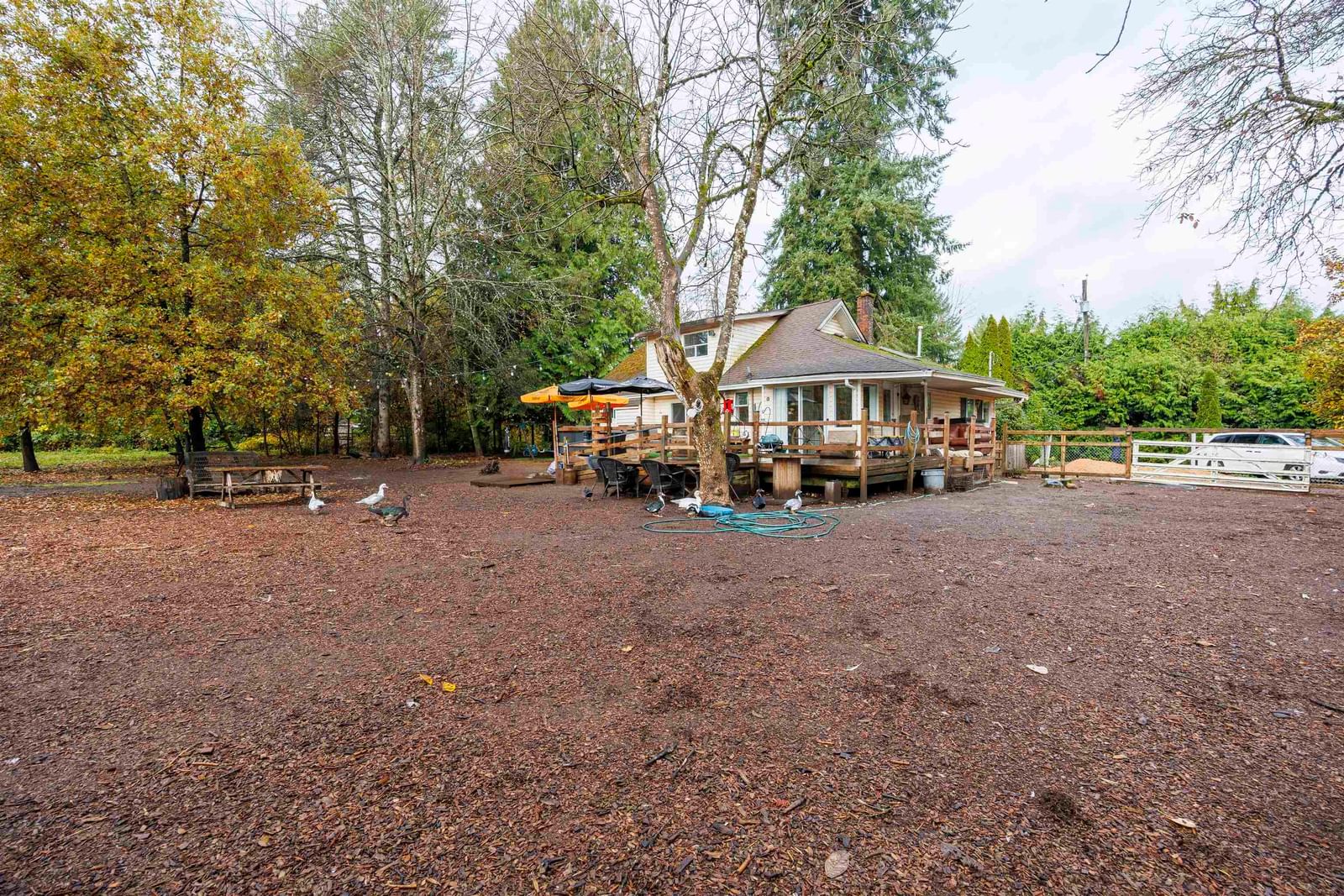 Listing Image 8