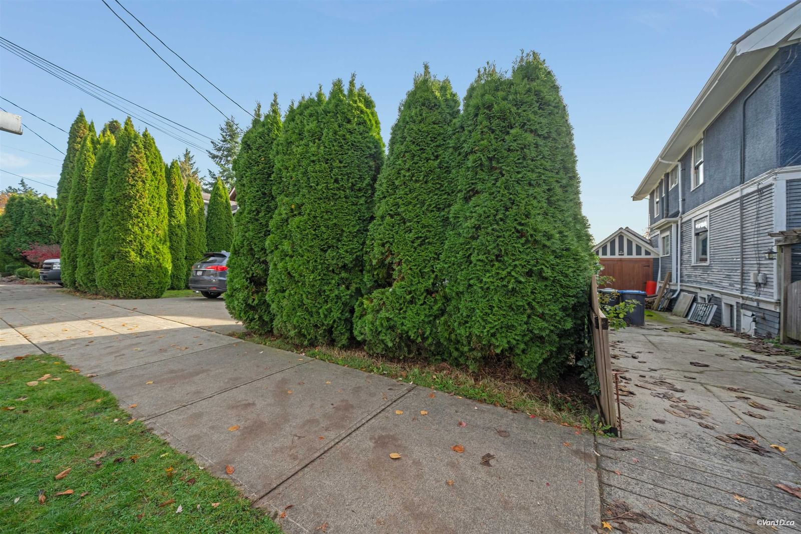 Listing Image 39