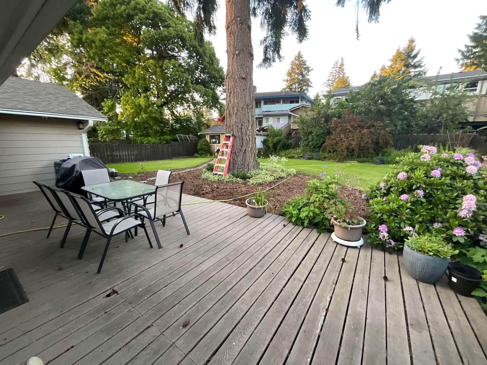 Listing Image 31