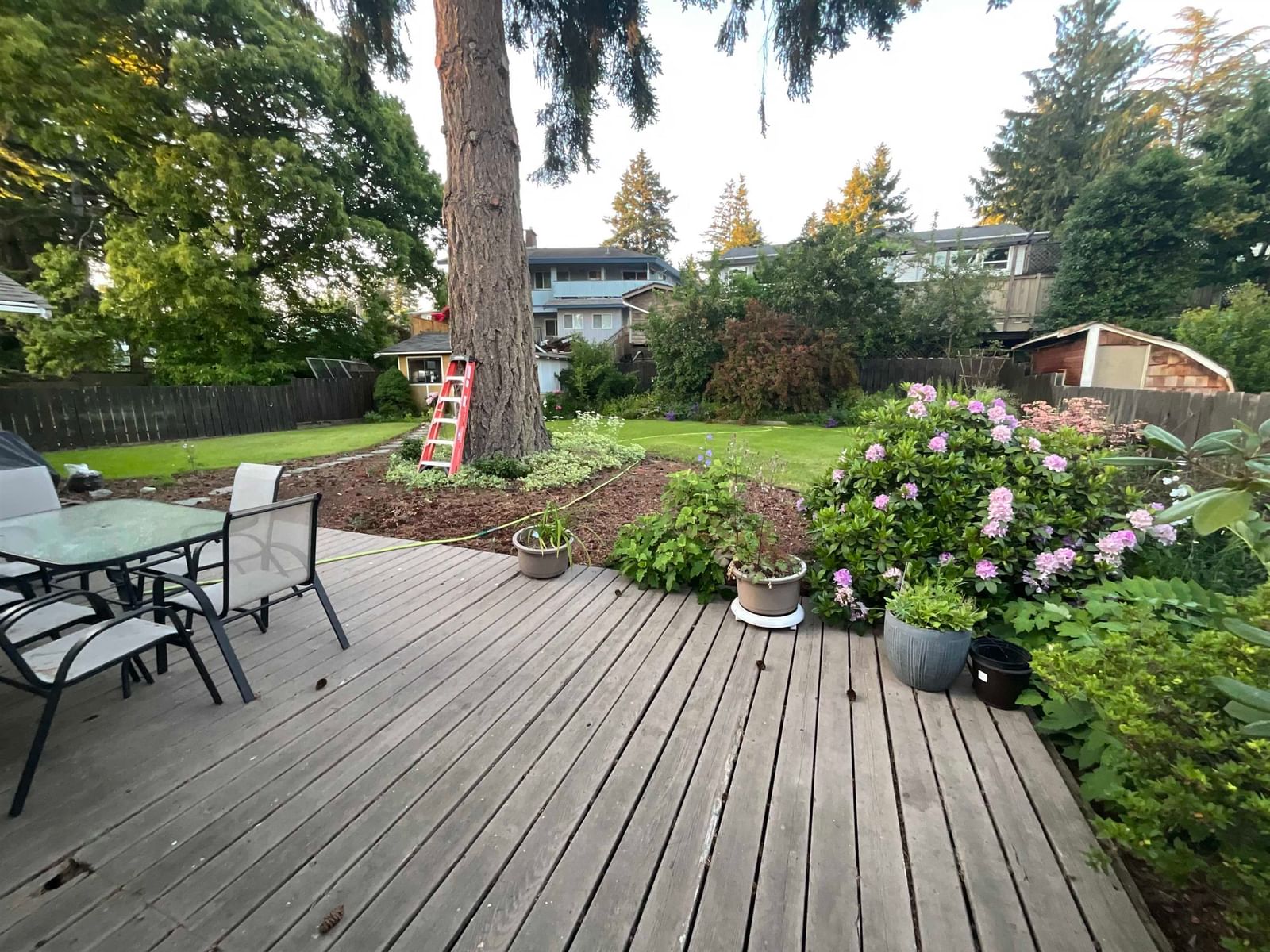 Listing Image 32