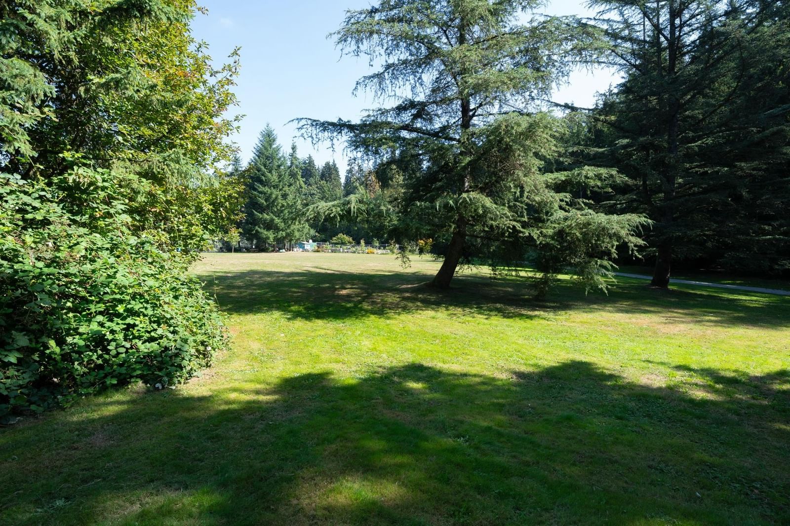 Listing Image 30