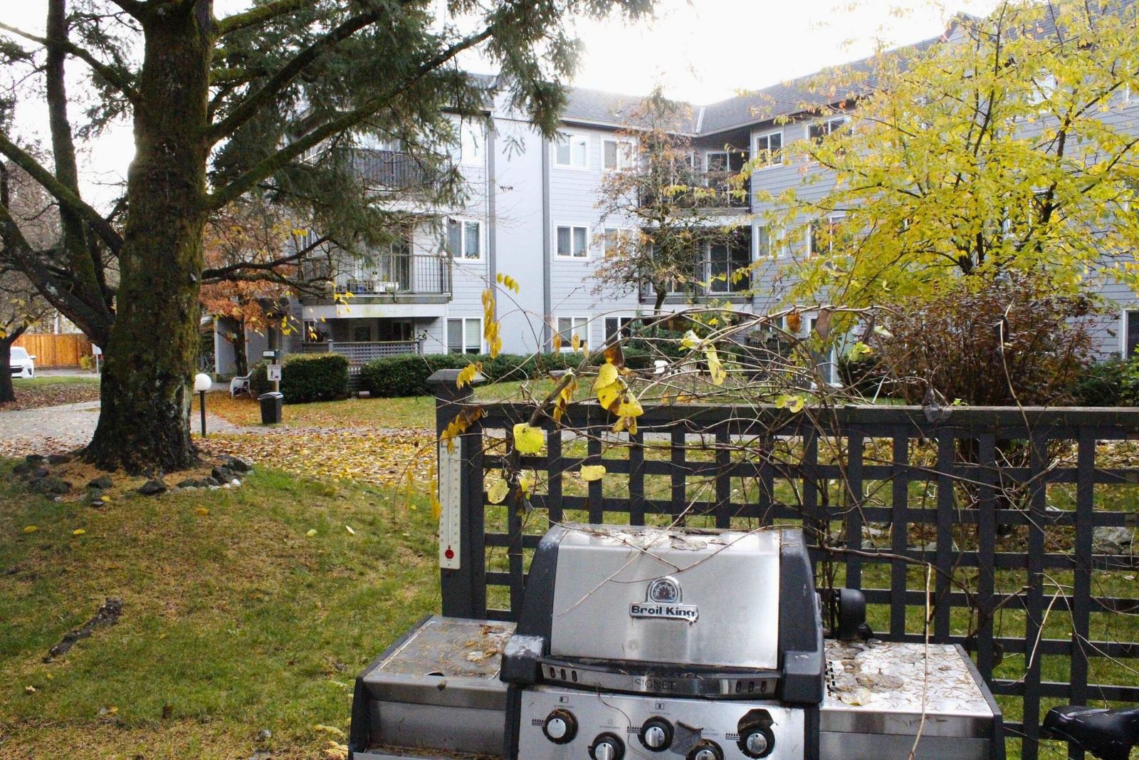 Listing Image 14