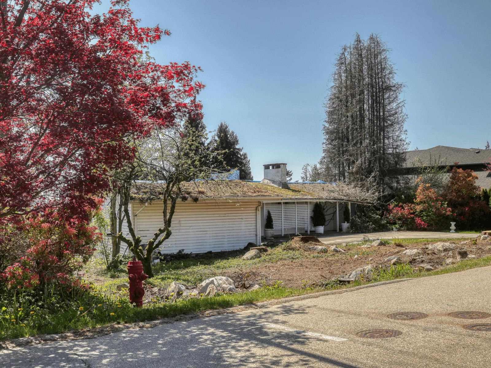 Listing Image 20
