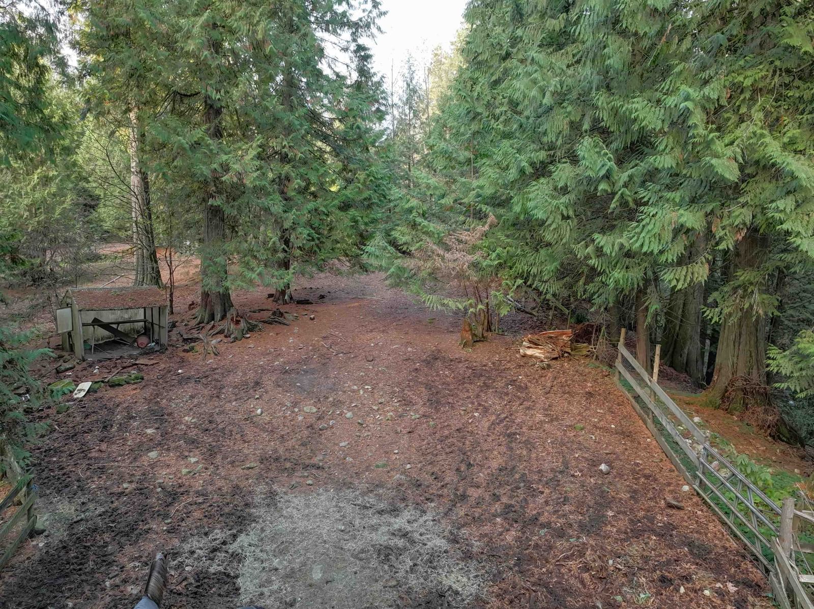 Listing Image 9
