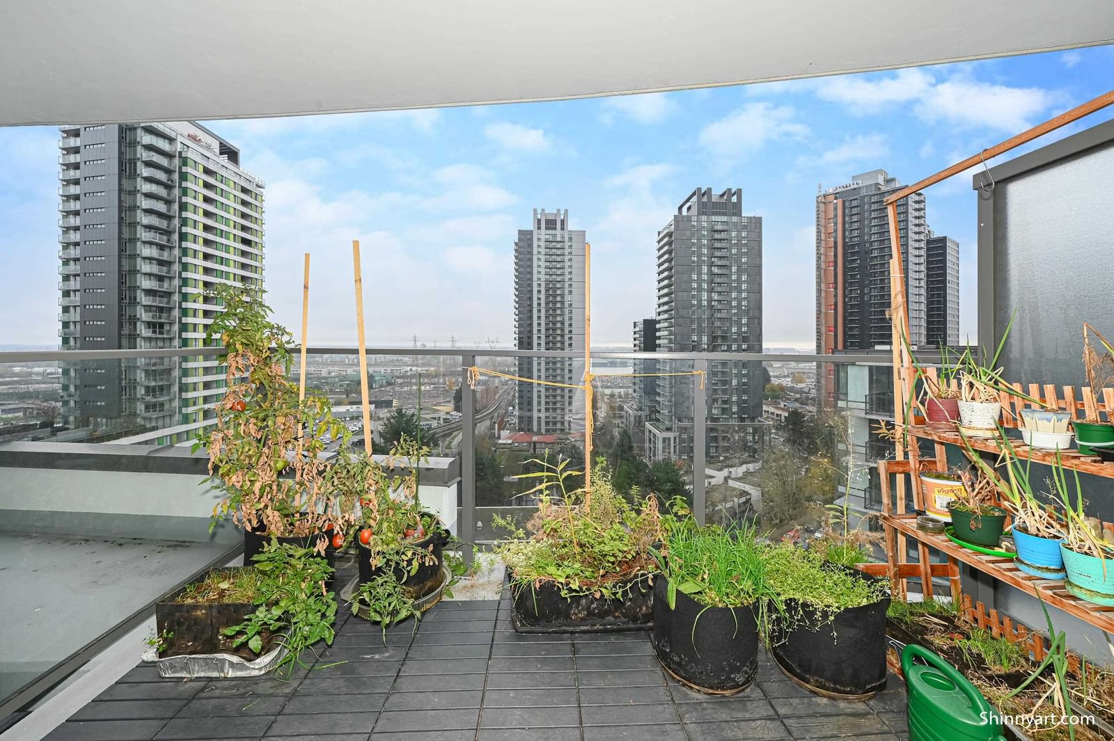 Listing Image 5