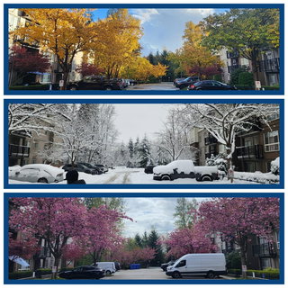 101 - 11665 Haney Bypass