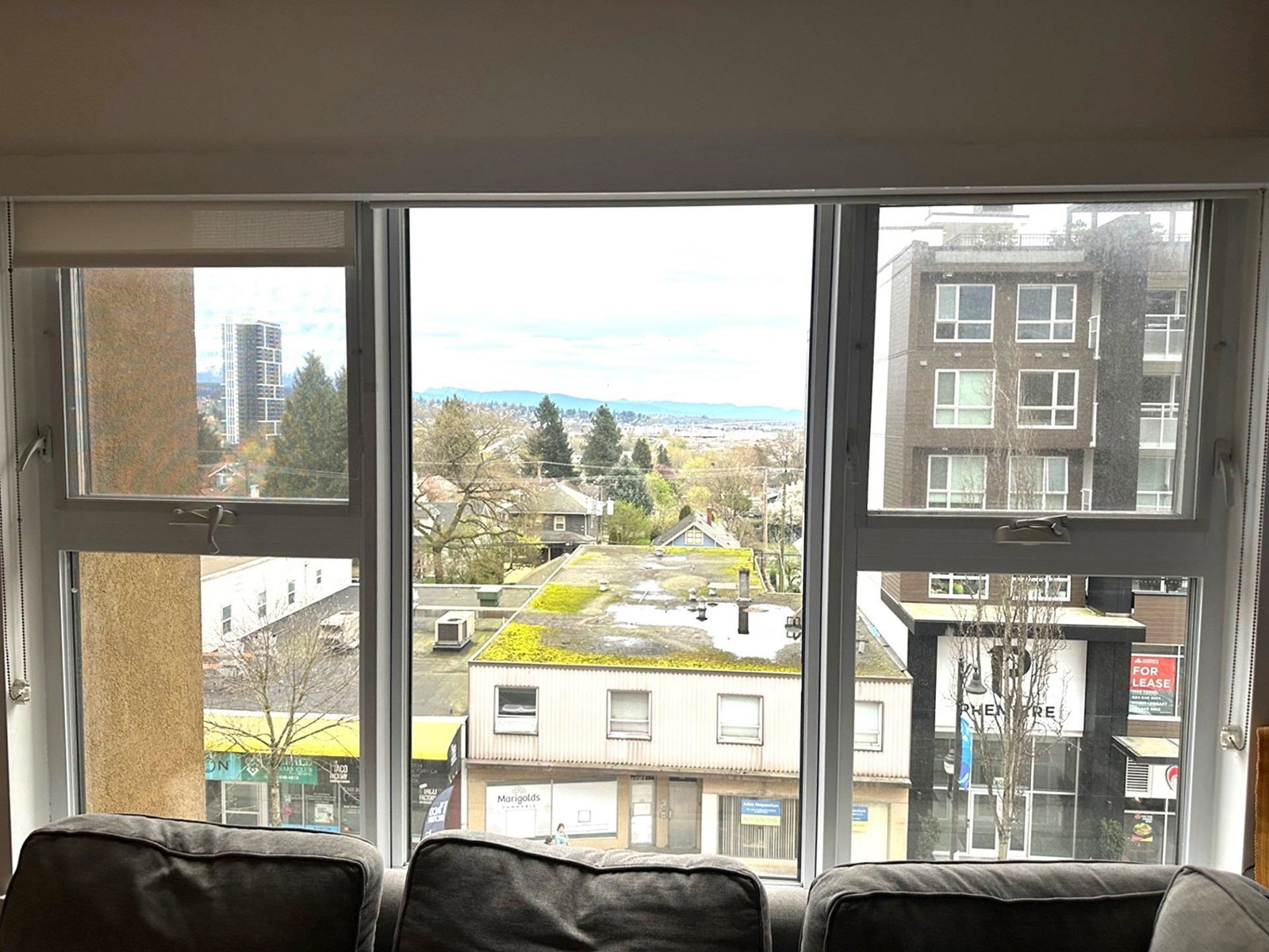 Listing Image 5