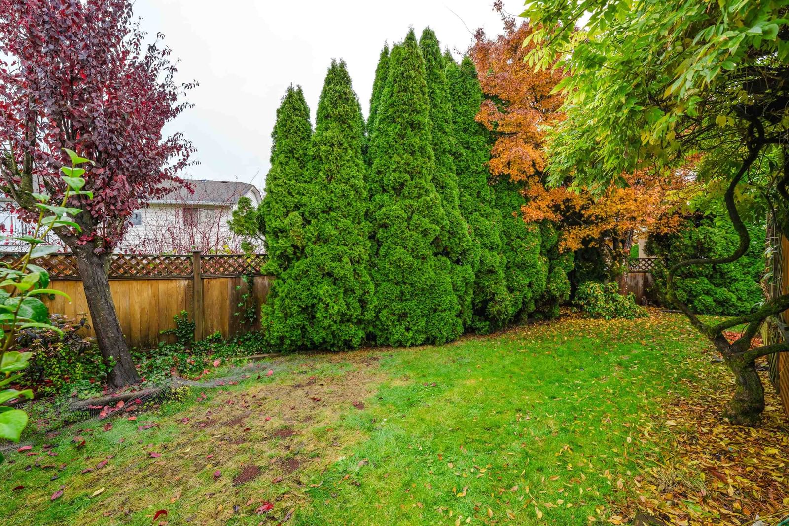 Listing Image 34
