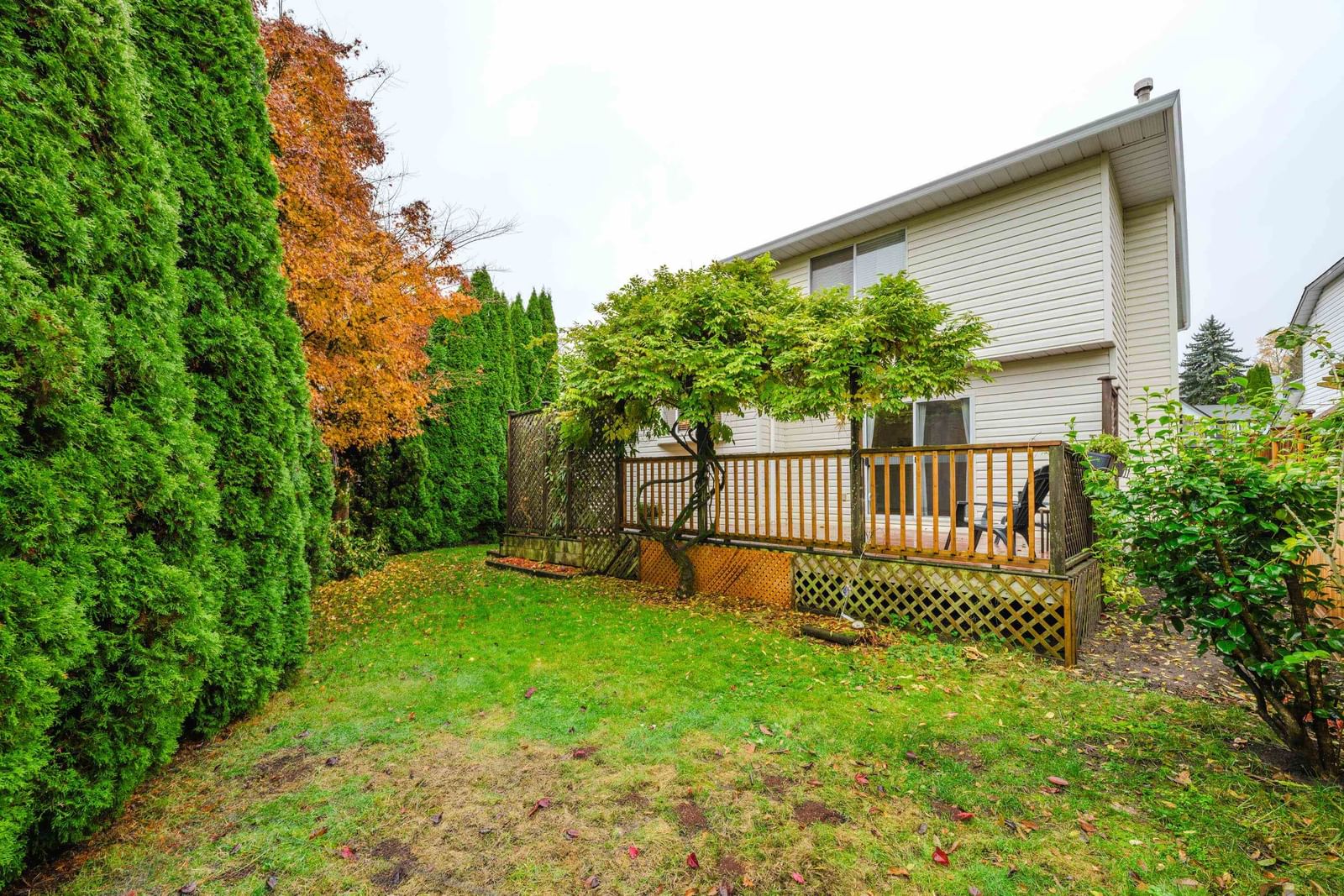 Listing Image 35