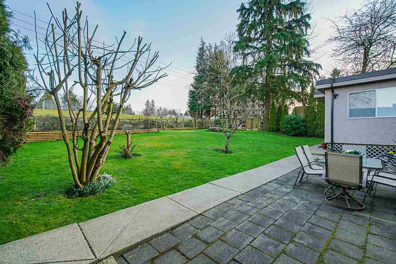 Listing Image 18