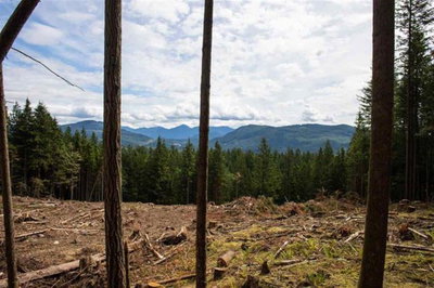 11533 Wilson Street | Mission | Image