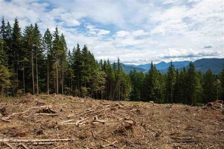 11533 Wilson Street, Mission, V4S 1M1 | Image 3