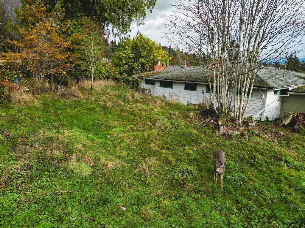 Listing Image 36