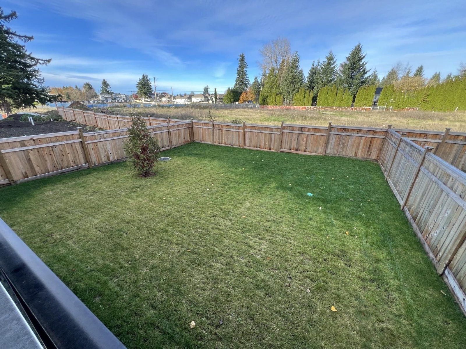 Listing Image 8