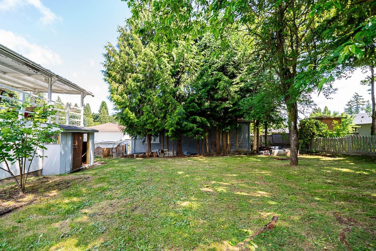 Listing Image 19