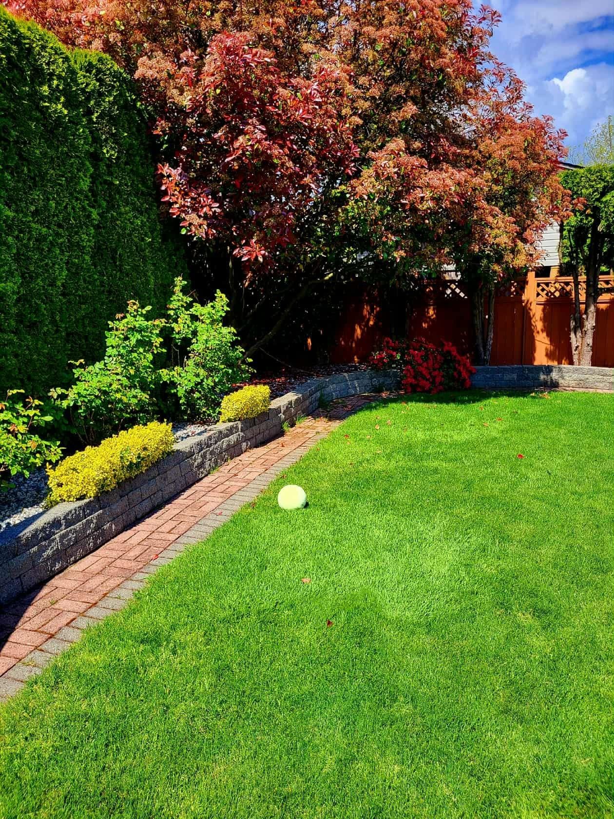 Listing Image 32