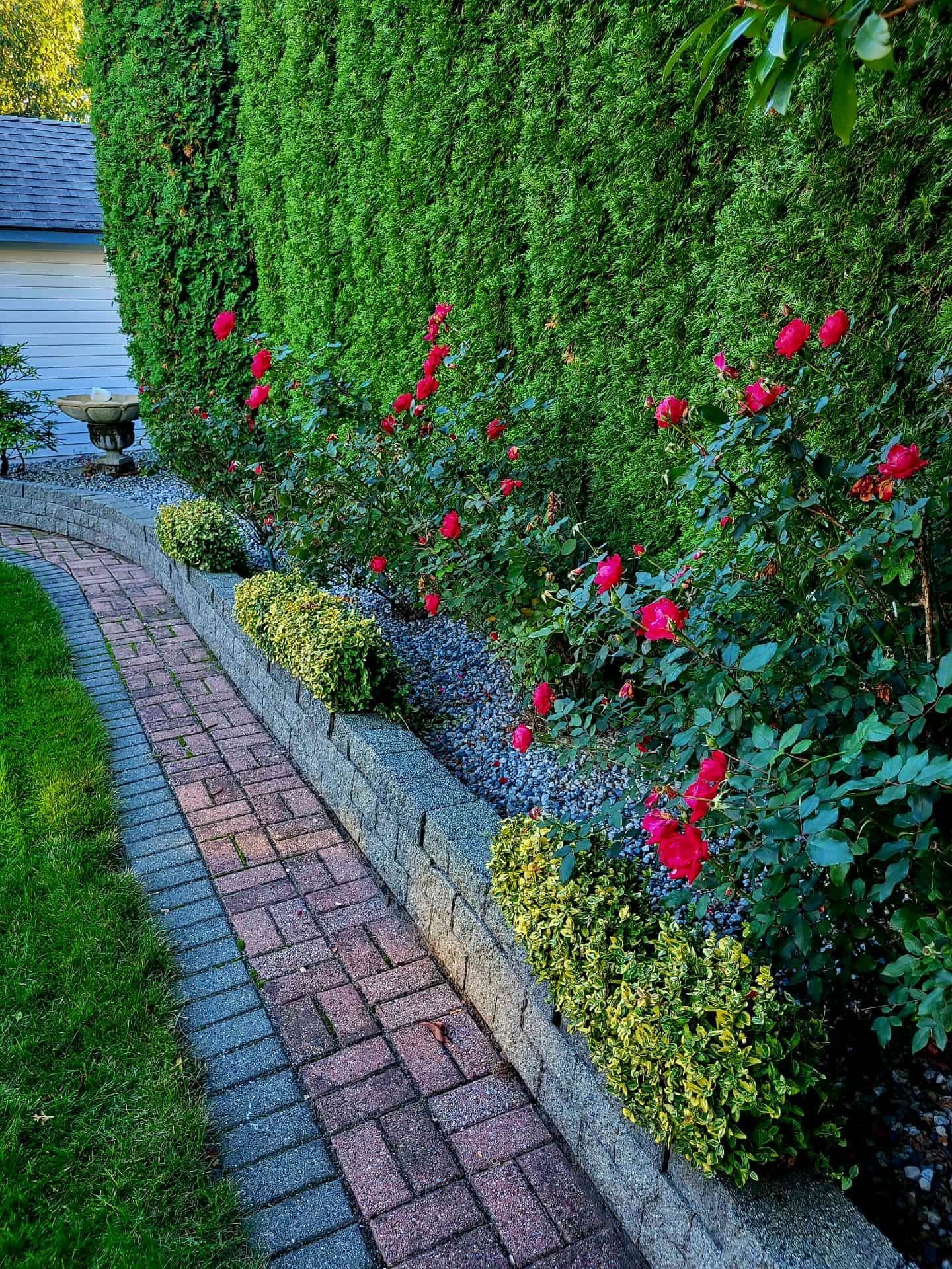 Listing Image 34